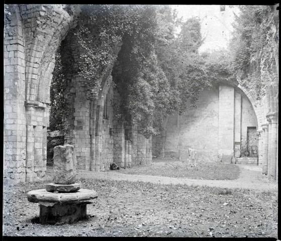 Ruines et vestiges de l'abbaye de Jumièges (Seine-Maritime).