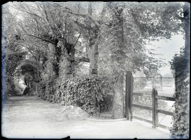 Allée menant au manoir « le Val fleuri » appartenant à M. Gallier.
