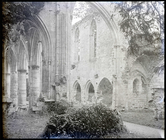 Ruines et vestiges de l'abbaye de Jumièges (Seine-Maritime).