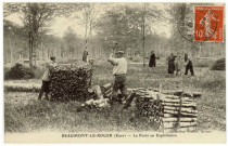 Beaumont-le-Roger. La Forêt en Exploitation.