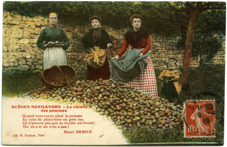 Divers. Scènes Normandes. - La récolte des pommes.