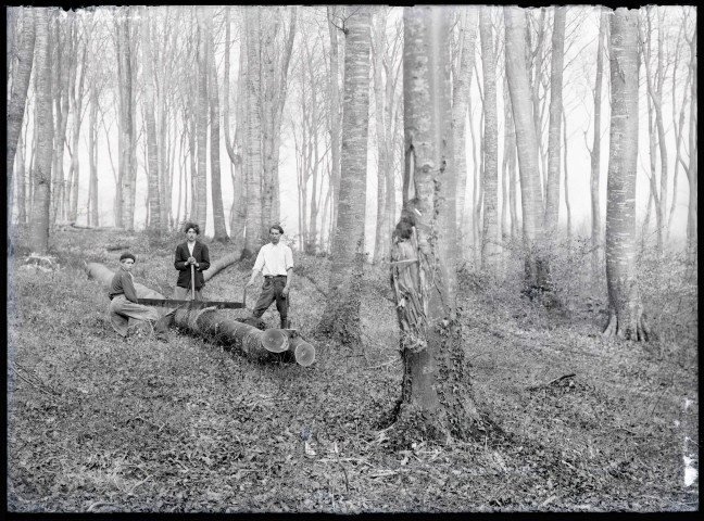 Scieurs et bûcherons dans la forêt du Défens du château de Rosay-sur-Lieure (Eure).