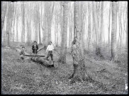 Scieurs et bûcherons dans la forêt du Défens du château de Rosay-sur-Lieure (Eure).