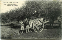 Divers. Scènes de la Vie Normande. - Visite à la Ferme : Livraison des pommes.