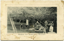 Divers. Cueillette des Pommes en Normandie.