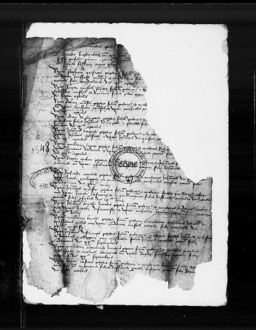 BMS (1548-1650)
