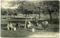 Divers. Scènes de la Vie Normande. - Visite à la Ferme : Cueillette des pommes.