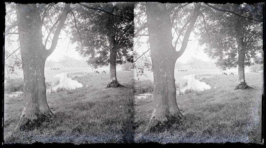 Ruisseau traversant la campagne de Ry (Seine-Maritime) du roman Madame Bovary de Flaubert.