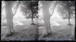 Ruisseau traversant la campagne de Ry (Seine-Maritime) du roman Madame Bovary de Flaubert.