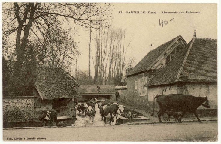 Damville. Abreuvoir des Puiseaux.