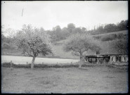 Pommiers en fleurs et grange normande.