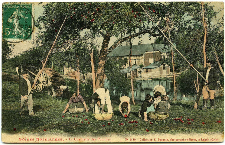 Divers. Scènes Normandes. - La Cueillette des pommes.