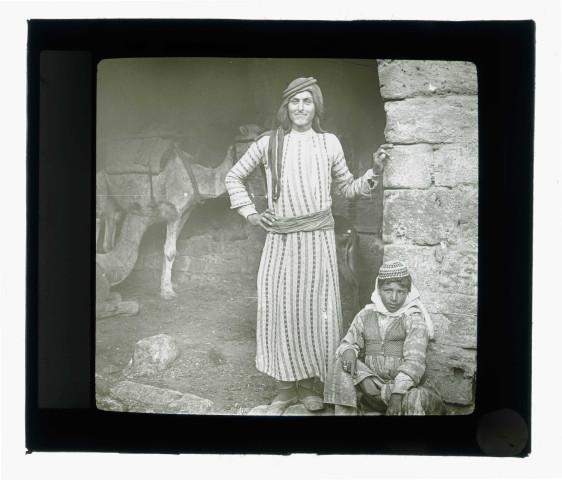 Bédouins et leurs dromadaires dans la région de Beyrouth (Liban).