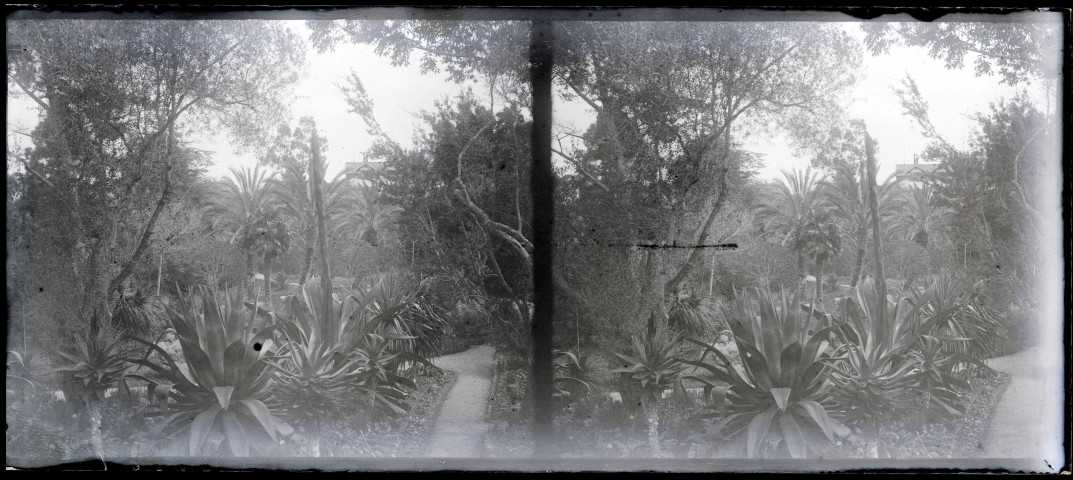Jardin public méditerranéen.