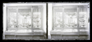 Salle et collections d'un musée égyptien.