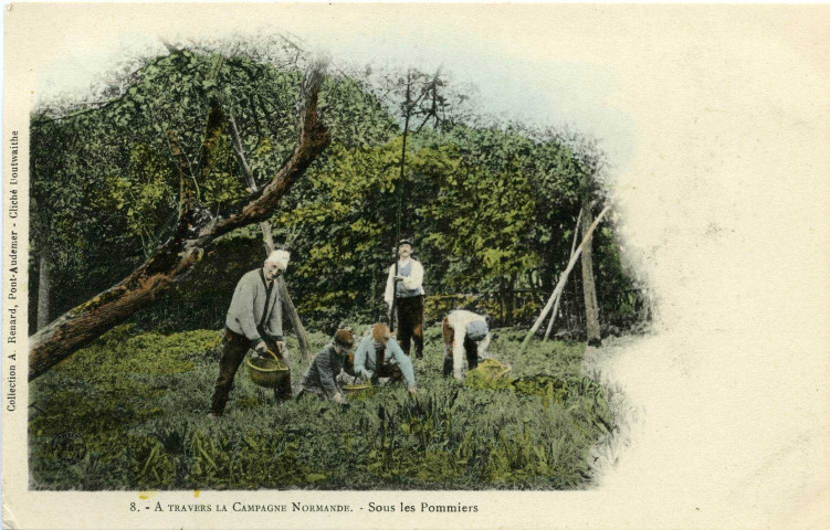 Divers. A travers la Campagne Normande. - Sous les Pommiers.