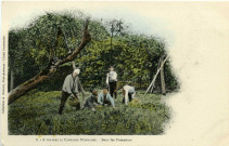Divers. A travers la Campagne Normande. - Sous les Pommiers.