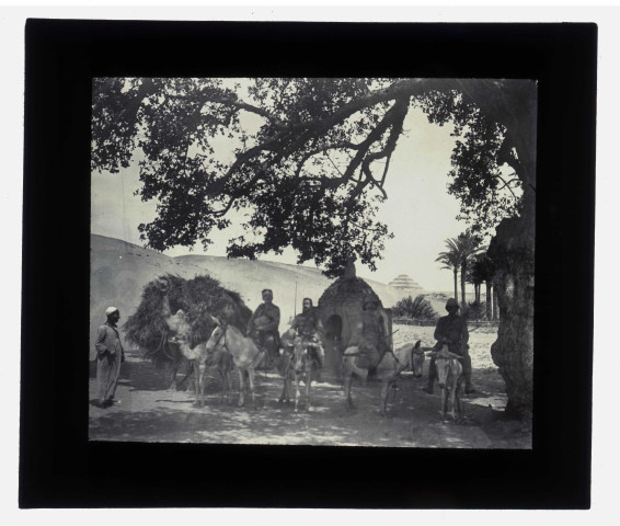 Voyageurs occidentaux posant sur leurs montures devant les pyramides de Gizeh (Égypte).