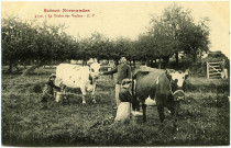 Divers. Scènes Normandes. - La Traite des Vaches.