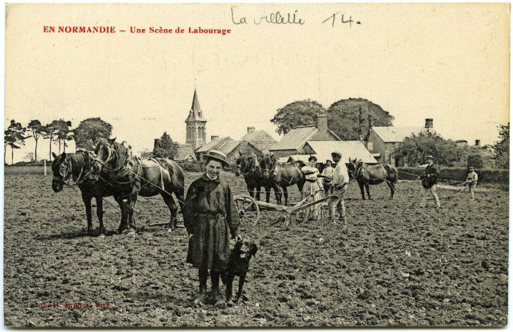 Divers. En Normandie. - Une Scène de Labourage.