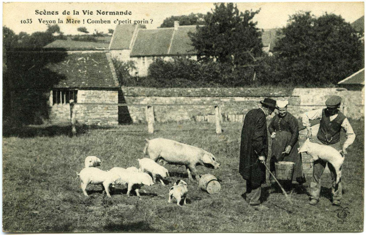 Divers. Scènes de la Vie Normande. - Veyon la mère ! Combien c'petit gorin ?