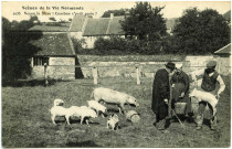 Divers. Scènes de la Vie Normande. - Veyon la mère ! Combien c'petit gorin ?