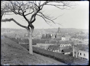 Vue d'ensemble de la ville de Lisieux (Calvados).
