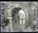 Ruines et vestiges de l'abbaye Notre-Dame-de-Fontaine-Guérard à Radepont (Eure).