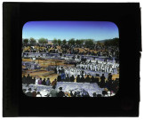 Congrès de Carthage (Tunisie), offrande des palmes dans l'amphithéâtre, le jeudi.