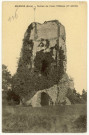 Brionne. Ruines du Vieux Château (Xe siècle).