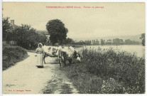 Tournedos-sur-Seine. Vaches au pâturage.