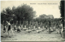 Bouafles. Camp des Pilotins. - Exercices physiques.