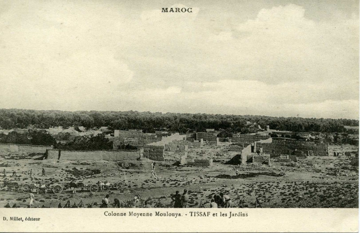 Colonne Moyenne Moulouya. - Tissaf et les Jardins