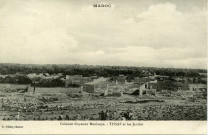 Colonne Moyenne Moulouya. - Tissaf et les Jardins