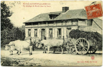 Fleury-sur-Andelle. Un attelage de Boeufs dans le Vexin.
