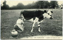 Divers. Les Normands. - Laitière à la traite des vaches.