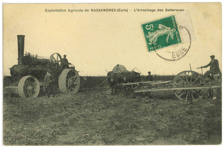 Nassandres. Exploitation Agricole de Nassandres (Eure) - L'Arrachage des Betteraves.