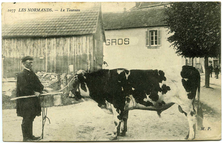 Divers. Les Normands. - Le Taureau.
