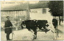 Divers. Les Normands. - Le Taureau.