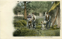 Divers. A travers la Campagne Normande. - la Toilette des Veaux.