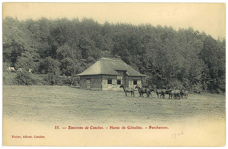 Glisolles. Environs de Conches. - Haras de Glisolles. - Percherons.