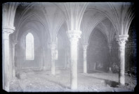 Ruines et vestiges de l'abbaye Notre-Dame-de-Fontaine-Guérard à Radepont (Eure).