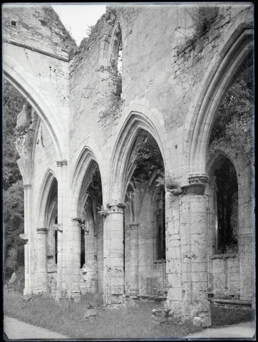 Ruines et vestiges de l'abbaye de Jumièges (Seine-Maritime).