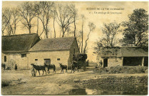 Divers. Scènes de la Vie Normande. - Un attelage de bourriques.