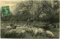 Divers. La Normandie illustrée. - Troupeau de Moutons.
