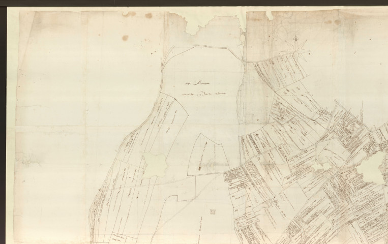 Coulonges - "Plan de la seigneurie des Murgés". *