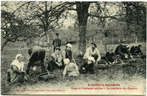 Divers. A travers la Normandie. - Types et Coutumes anciens - La Cueillette des Pommes.