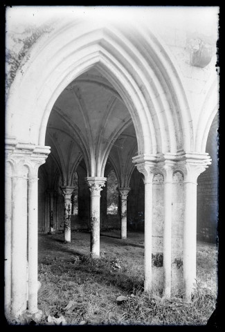 Ruines et vestiges de l'abbaye Notre-Dame-de-Fontaine-Guérard à Radepont (Eure).