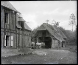 Chaumière, grange et chevaux dans la campagne normande.