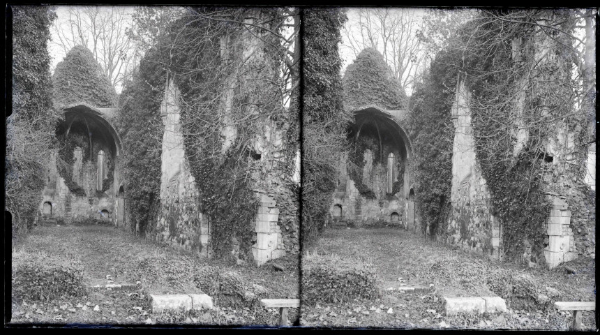 Ruines et vestiges de l'abbaye Notre-Dame-de-Fontaine-Guérard à Radepont (Eure).